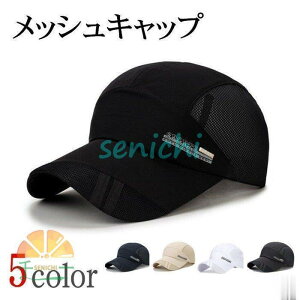 bVLbv Xq Y Lbv  S 싅X UVJbg Ă~ ʋCQ O΍ bV X|[c 5F 悯