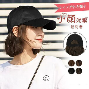 Lbv tXq nbg ѕtXq V[g EBbOtXq ϑ {u ^ pEBbO  ؍ R  C`F