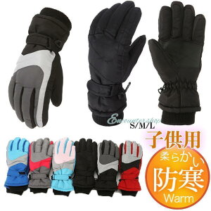  LbY Xm[O[u q ̎q j̎q w  V XL[ Xm[{[h ~ 킢  h h  w