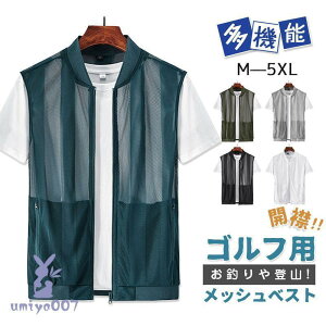 Stp bVxXg Y   ނxXg  Bep ƒ _ oR y J}  ̓