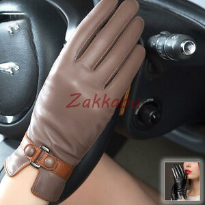 {v܁@fB[X@O[u@U[O[u@U[܁@glove  oCN܁@oCNO[u@[VOO[u