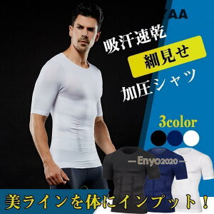 Vc Y Xgb` Vc ␳  Ci[ tBbglX X|[cEFA RvbVEGA z @\