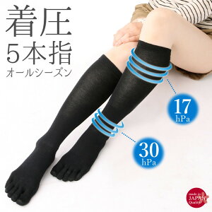 yzC fB[X \bNX nC\bNX ߌ 5{w \bNX Ȃ r h C  r h ނ݉ r  Ci[  