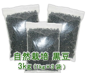 R͔| (1kg)X3܁엿E_򁚖kC̎R͔|̓Nl󂯌pꂽAɂ̎R͔|_@ƍ̎恚Řb݂Ïkꂽ哤