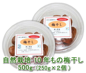 y󏭕izR͔| 10N̔~(250g)X2_ސ쌧~с엿70Nȏ㖳_򁚖YEFEwꗱꗱĉ厩炪10N̒NЂ񂾑ϊ
