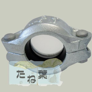 V[P[ R-5 100 (bL) () : gbvWCg nEWOp Ƃ^Cv nZCK | p   GA  h SP XvN[ z ڎ