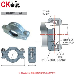�V�[�P�[���� R-11 125x100 (���b�L) () (�󒍐��Y�i) : �g�b�v�W���C���g �n�E�W���O�p�� �Ƃ��^�C�v �ٌa �n�Z������CK���� �|�� �p�� ���� ���h SP �X�v�����N���[ �z�� �ڎ�