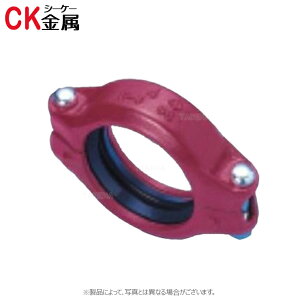 V[P[ R-5 125 ( ) () : gbvWCg nEWOp Ƃ^Cv K~hCK | p   GA  h SP XvN[ z ڎ