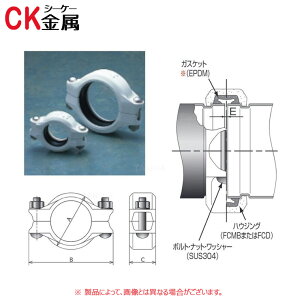 V[P[ R-5 iCR[g 150 ( ) () : gbvWCg nEWOp Ƃ^Cv iCR[gCK | p   GA  h SP XvN[ z ڎ