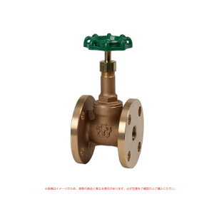 ��a �ėp 10K F�t �Q�[�g�� ���P�n���h�� : B10FG 50 (LB)��