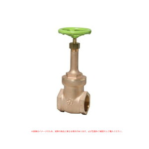 ��a �����X JIS 10K �P�� �Q�[�g�� : B10GN 40 ���΃n (LN) .��