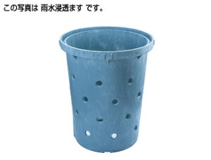 �y�n��ɋ��肠���y �݌ɂ���z�^�L���� 300�^-400H (308304) : �J���Z���}�X ����+�ꌊ���^�L�����V�[�A�C �Z�� �܂� �� �� �C