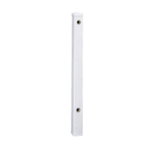 ynɋ肠y ݌ɂz^L GD`[ FVS 900 ݂ (290371) : K[f 900(Oo^Cv)^LV[AC