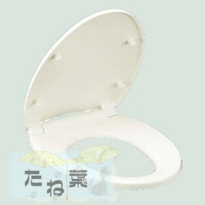 TOTO TC301#SC1 () (pXeAC{[) : ʕ֍/\tg~t GQ[gTCY (`) 