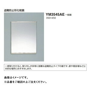 TOTO YM3545AE (TS119AE3) : ʋ p h~`350x 450 