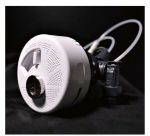 p} OMA60P-3 (50752) : oXA_v^[ A_v^[ Egt@CouA_v^[ Paloma