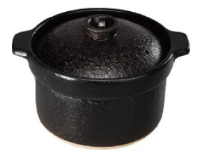 iC RTR-20IGA2 (52-6880) : ʃIvV ѓy 