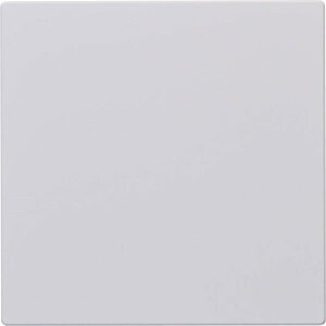 iC DSP-550 (24-2019) : KX er֗pσv[g