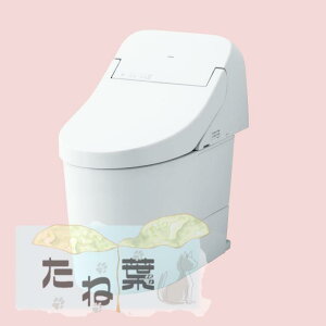 TOTO CES9201M#NW1 (CS894BM + TCF9201) (3T) : zeWĽ`֊ 