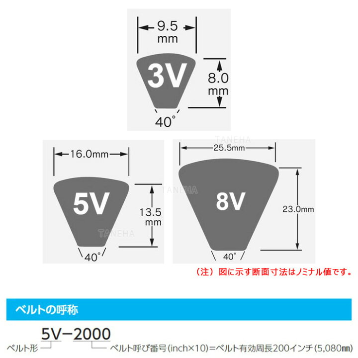 楽天市場】三ﾂ星ﾍﾞﾙﾄ《8V2360》ﾏｯｸｽﾀｰ ｳｪｯｼﾞﾍﾞﾙﾄ 8V : 8V 2360∴ : たね葉