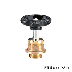 ^u`sSHP50tR}~㕔 ۃnh : SHP 50 X