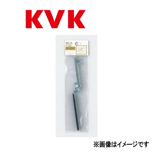 KVK�sPG5�t : �|�����J�L�[(�p�b�N�L) ���P�[�u�C�P�[