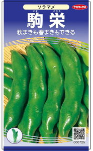 ソラマメ 種の人気商品 通販 価格比較 価格 Com