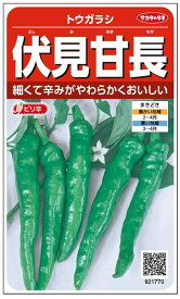 甘長トウガラシ 種 『伏見甘長』 小袋（採苗本数80本） サカタのタネ