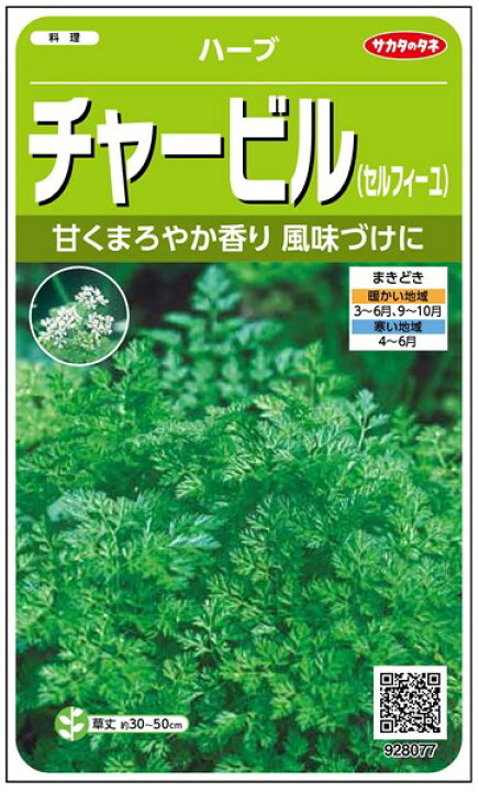 楽天市場 ハーブ 種 チャービル サカタのタネ 小袋 粒数目安765粒 種兵ネットショッピング