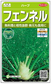 楽天市場 フェンネル 苗の通販