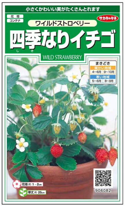 楽天市場 四季なりイチゴ 種 ワイルドストロベリー サカタのタネ 小袋 粒数目安140粒 種兵ネットショッピング