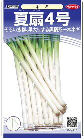 楽天市場 ネギ 苗の通販