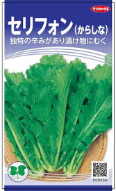 中国野菜 種 『セリフォン』 サカタのタネ/小袋（粒数目安1800粒）