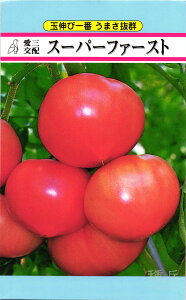 ʃg}g  wX[p[t@[Xgx Oc