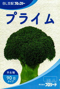 �����u���b�R���[ �� �w�v���C���x �u�����[�h