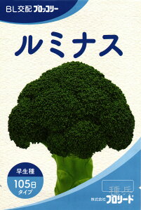 �������u���b�R���[ �� �w���~�i�X�x �u�����[�h