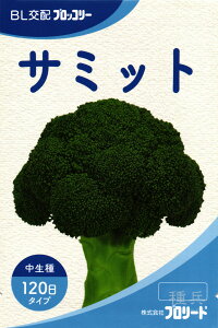 �����u���b�R���[ �� �w�T�~�b�g�x �u�����[�h