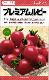 ミニトマト 種 『プレミアムルビー』 カネコ種苗/小袋（11粒）