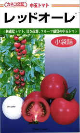 中玉トマト 種 『レッドオーレ』 カネコ種苗/コート600粒