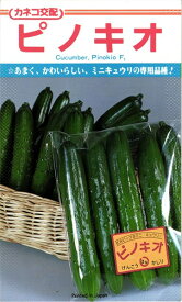 楽天市場 ミニ キュウリ 苗の通販