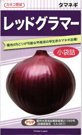 早生赤タマネギ 種 『レッドグラマー』 カネコ種苗/20ml