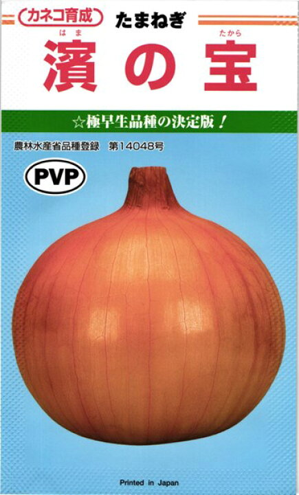 楽天市場】極早生タマネギ 種 『濱の宝』 カネコ種苗/2dl : 種兵ネット 