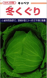 晩生キャベツ 種 『冬くぐり』 カネコ種苗/コート5000粒