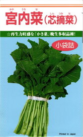 カキナ 種 『宮内菜』 カネコ種苗/2dl