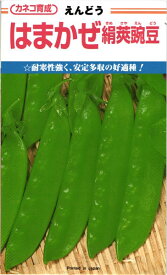 赤花エンドウ 種 『はまかぜ絹莢』 カネコ種苗/小袋（36ml）