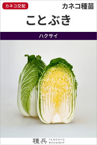 �H�܂��n�N�T�C �� �w���ƂԂ��x �J�l�R��c