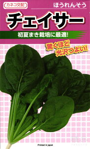 �z�E�����\�E �� �w�`�F�C�T�[�x �J�l�R��c