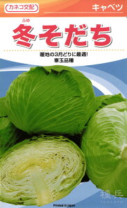晩生キャベツ 種 『冬そだち』 カネコ種苗
