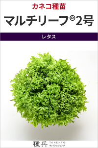 }`[t^X  w}`[t2x JlRc