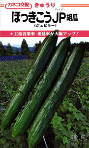 �L���E�� �� �w�ق�������JP�x �J�l�R��c